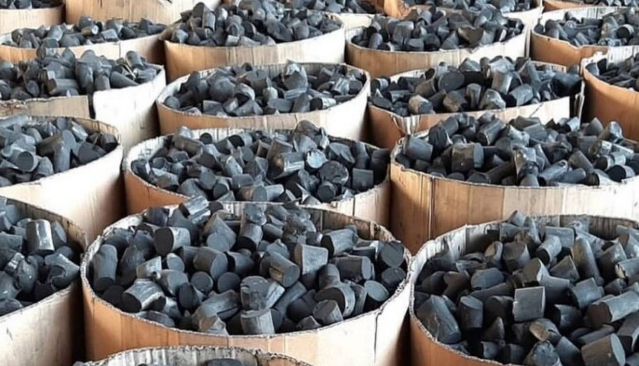 بلوطهای زاگرس در آتش طمع؛ قصه تلخ قاچاق در زاگرس