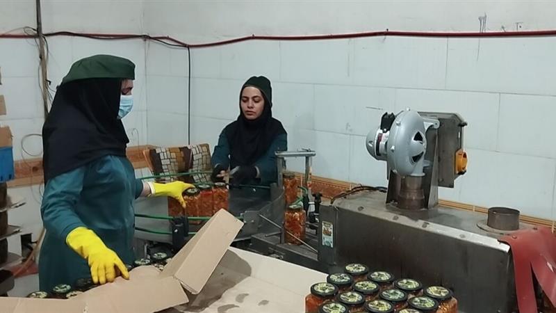تولید استاندارد و اشتغال پایدار، داستان موفقیت دو واحد صنعتی درهشهر