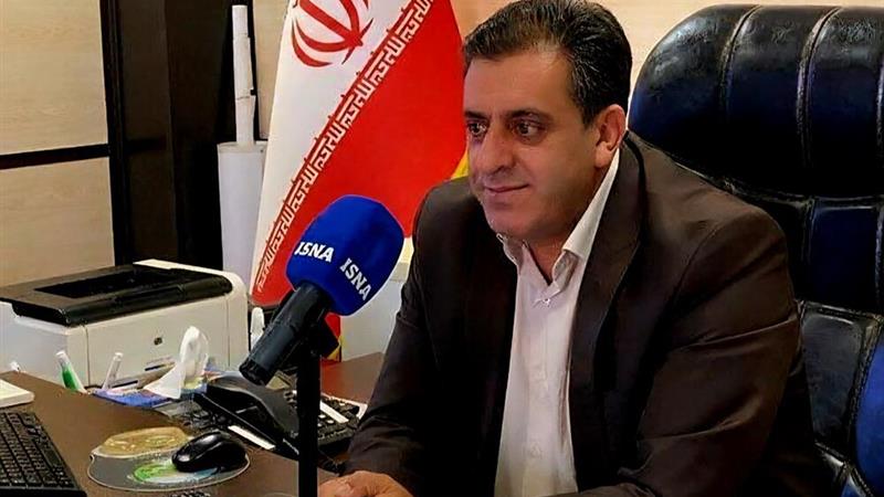 فعالیت زنبورهای گالزا در بلوطهای بدره تهدیدی برای جنگل محسوب نمیشود
