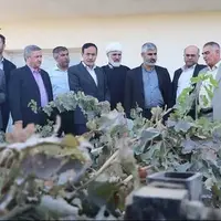 سفر معاون وزیر جهاد کشاورزی به استان قزوین 