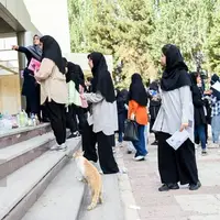 دبیر گزینش کشور: ۹۹ درصد افراد گزینشی قبول شدند