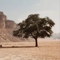 طرح/ امید به رحمت خدا 