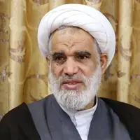عضو مجلس خبرگان: شورای عالی امنیت ملی نمی‌تواند جلوی قانون حجاب و عفاف را بگیرد