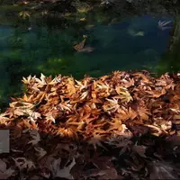 پیش‌بینی پاییز خشک در خوزستان