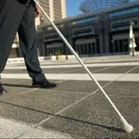 استفاده روشندلان همدان از خدمات اتوبوسرانی رایگان شد