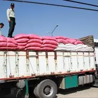 کشف سوخت و گندم قاچاق در کرمان