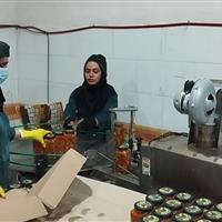 تولید استاندارد و اشتغال پایدار، داستان موفقیت دو واحد صنعتی دره‌شهر