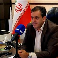فعالیت زنبورهای گالزا در بلوط‌های بدره تهدیدی برای جنگل محسوب نمی‌شود