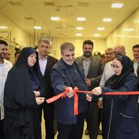 استاندار سمنان: حمایت از طرح‌های دانش‌بنیان موجب رونق تولید و اشتغال می‌شود
