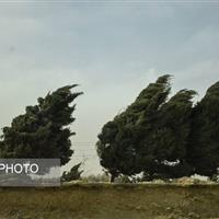 وزش باد نسبتاً شدید و احتمال بارش پراکنده در زنجان