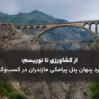 از کشاورزی تا توریسم: کاربرد پنل پیامکی مازندران در کسب‌وکارها