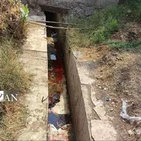 کشتارگاه دام بندرعباس به دلیل تهدید سلامت عمومی پلمب شد