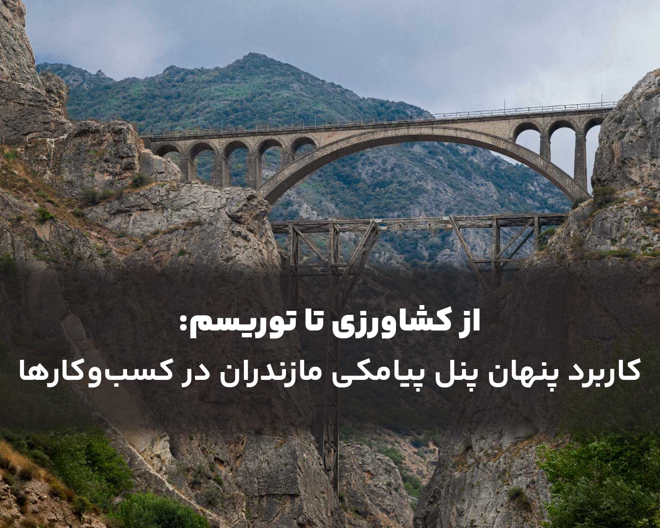 از کشاورزی تا توریسم: کاربرد پنل پیامکی مازندران در کسبوکارها