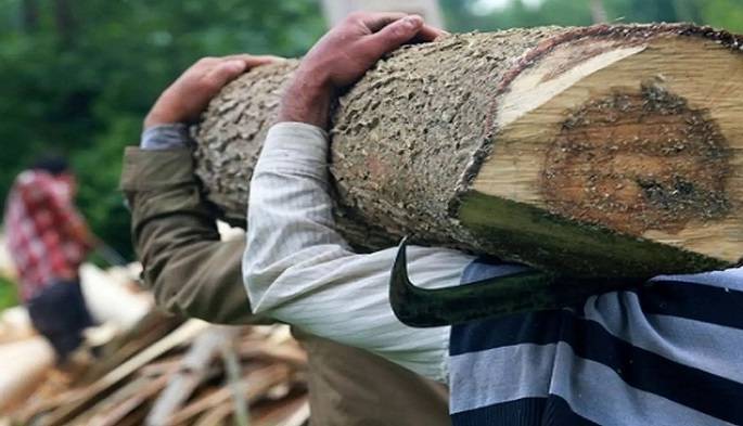بازداشت ۲۱ قاچاقچی چوب در مازندران