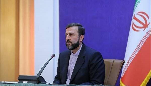 تصمیمگیری درباره بازدید آژانس از تاسیسات هستهای بر عهده شورای عالی امنیت ملی است