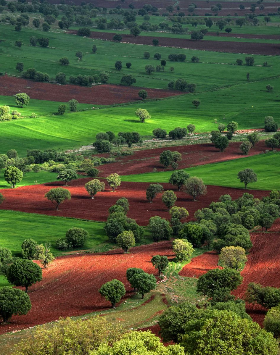 تصویری از طبیعت زیبای لرستان