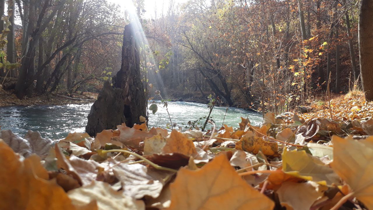 طبیعت پاییزی جاده چالوس