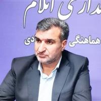 طرح ویژه مقابله با خروج دارو توسط اتباع بیگانه در ایلام کلید خورد