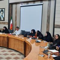 مشارکت زنان در امور اجتماعی و فرهنگی باعث تقویت جامعه سنتی می‌شود