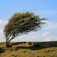 وزش باد‌های شدید از عصر امروز در استان قزوین