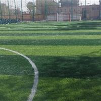 بهره برداری از ۲۰ پروژه ورزشی طرح شهید سلیمانی در البرز