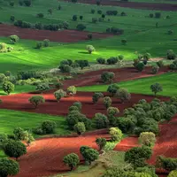 تصویری از طبیعت زیبای لرستان