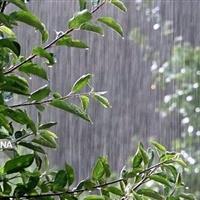 آسمان بی‌باران ایلام/ نگاه‌ها به آبان دوخته شده است