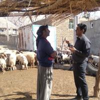 بررسی علمی نرخ باروری در گله «میش‌های داشتی» عرب رودبار