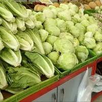 قیمت امروز میوه و تره‌بار در مشهد