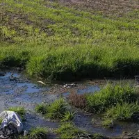 وضعیت نگران‌کننده آلودگی آب و خاک خوزستان؛ لزوم نظارت بر فروشگاه‌های سم و کود