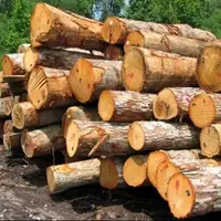  کشف ۱۵ تن چوب قاچاق در شهرستان دزپارت