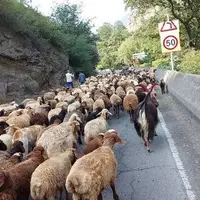 جاده چالوس مسدود است