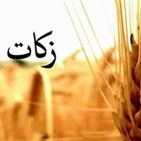 جمع‌آوری ۸۱ میلیارد تومان زکات در کردستان/ رشد ۴۰ درصدی نسبت به سال گذشته