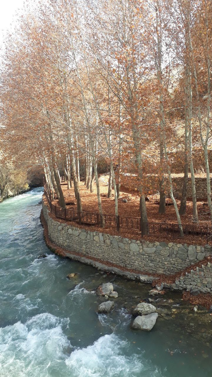 طبیعت پاییزی جاده چالوس