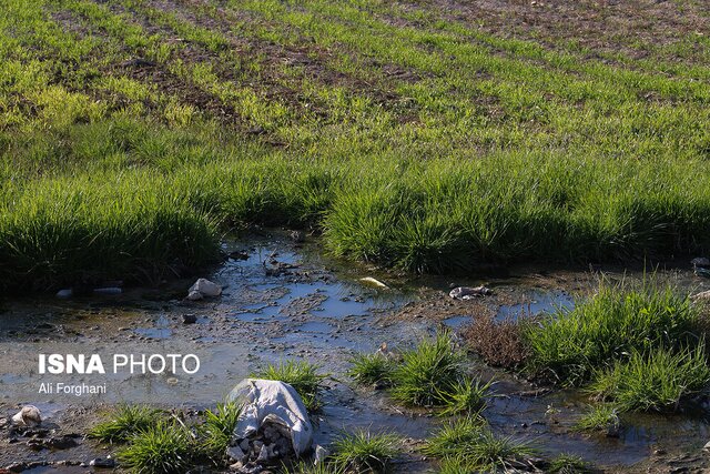 وضعیت نگرانکننده آلودگی آب و خاک خوزستان؛ لزوم نظارت بر فروشگاههای سم و کود