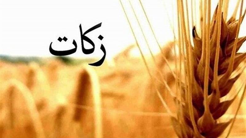 جمعآوری ۸۱ میلیارد تومان زکات در کردستان/ رشد ۴۰ درصدی نسبت به سال گذشته