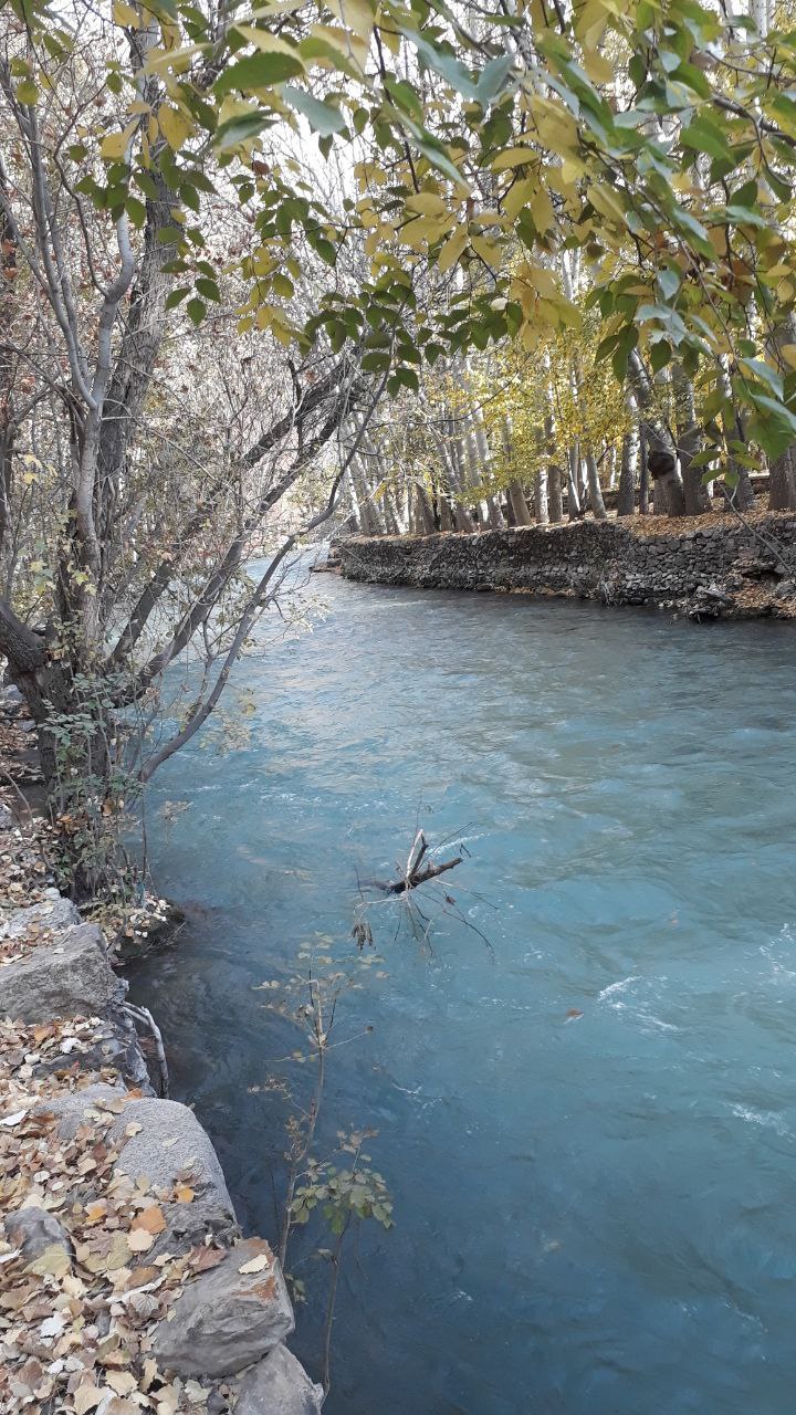 طبیعت پاییزی جاده چالوس