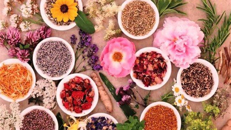 هشدار پزشک طب سنتی اراکی درباره مصرف خودسرانه داروهای گیاهی