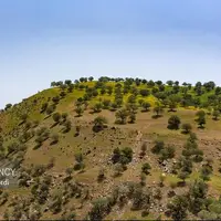 زاگرسِ تشنه!
