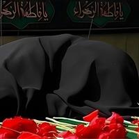 وداع با مادر والامقام شهیدان رسولی در تهران
