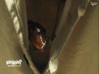 دختر بصیر الملک عاشق پسر نجار شد؟