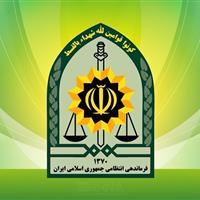 توضیح پلیس تهران درباره بازداشت بازیگر معروف سینما