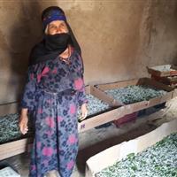ثبت جهانی و ملی ۳ شهر و روستای خراسان شمالی در دستور کار میراث‌ فرهنگی