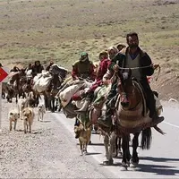 سرمای زودرس کوچ عشایر کرمانشاه را جلو انداخت