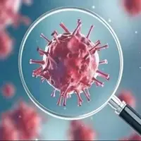 کرونا در صدر ویروس‌های تنفسی طی هفته گذشته / میزان پایین فعالیت ویروس آنفلوآنزا