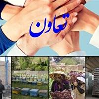 وجود بیش از ۳ هزار تعاونی غیرفعال در استان یزد