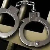 توضیح پلیس درباره بازداشت یکی از بازیگران معروف