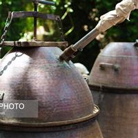 تعطیلی گلاب‌گیری به علت تقلب در پروانه ساخت