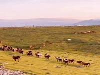 سرزمین زیبایی‌ها، تالش بزرگ...