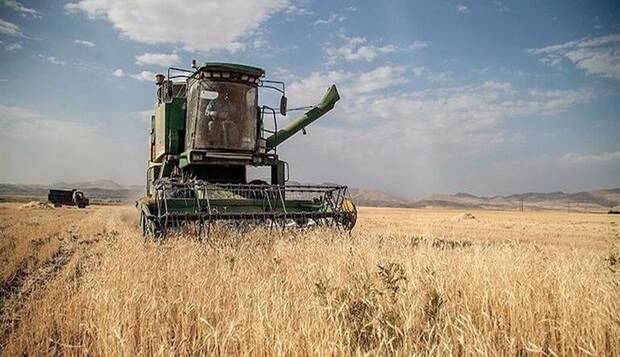 ۱۶۰۰ میلیارد تومان گندم در مازندران خریداری شد